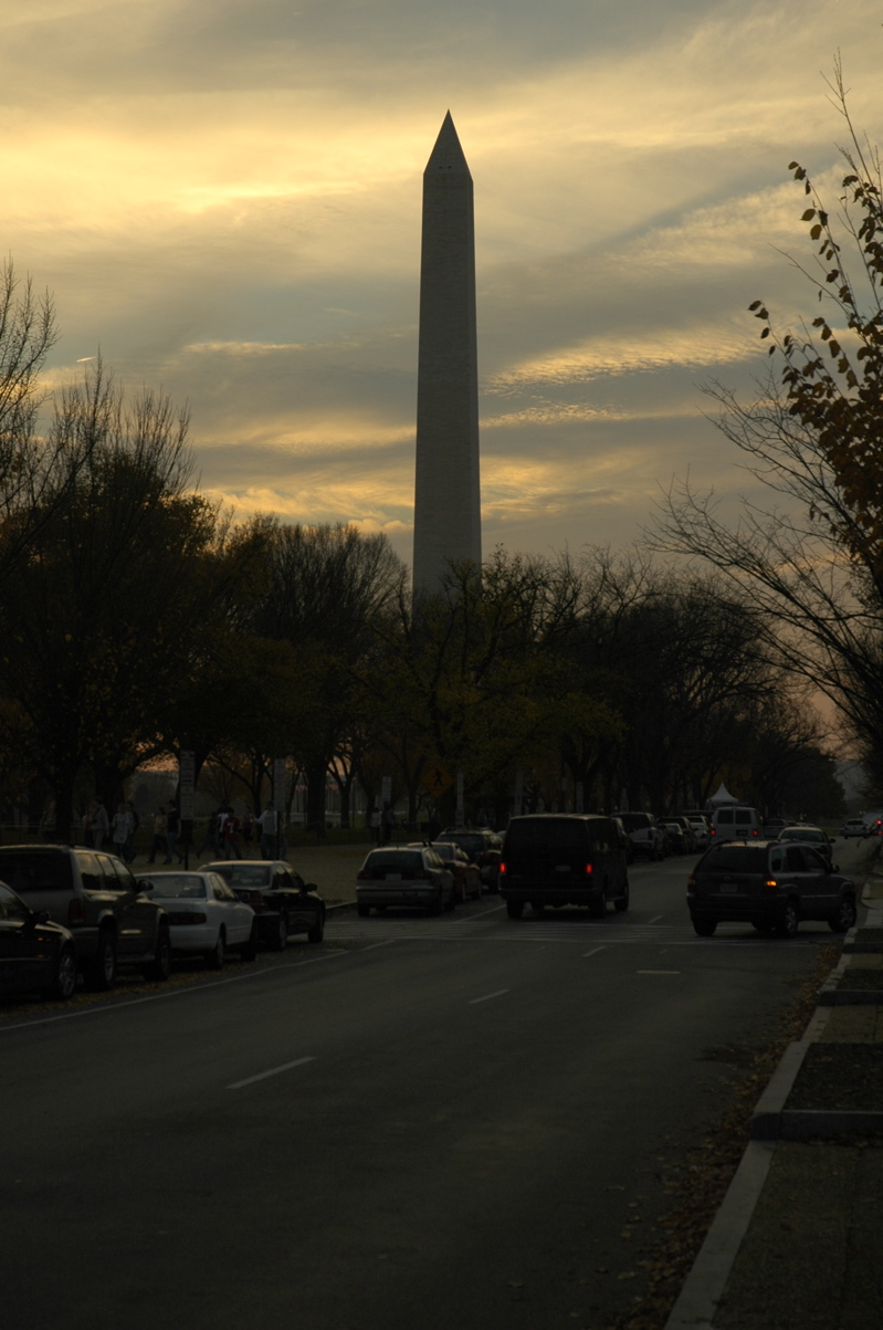 _DSC3959